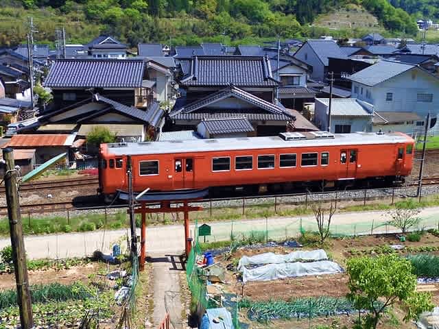 キハ41