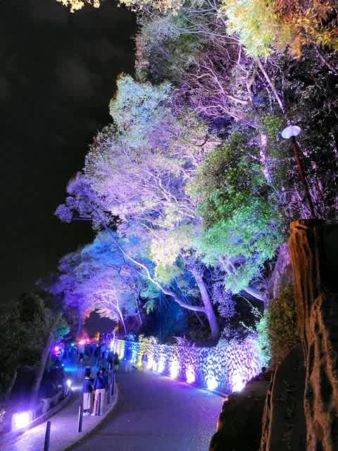 須磨浦公園の夜桜