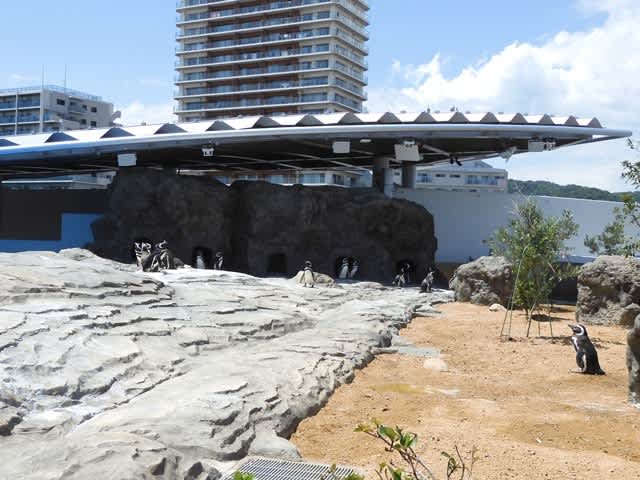 神戸須磨シーワールド