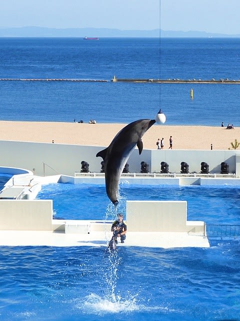 神戸須磨シーワールド