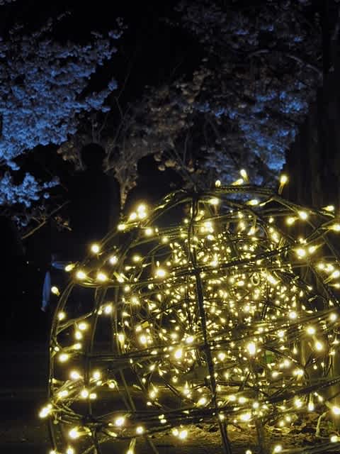 須磨浦公園の夜桜