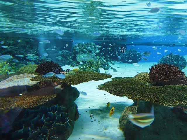 神戸須磨シーワールド