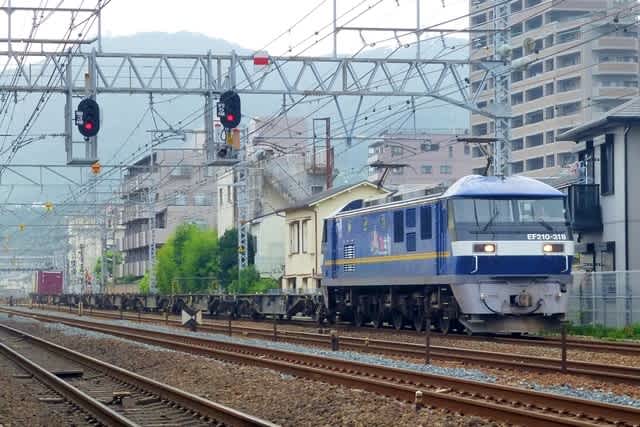 EF210-318
