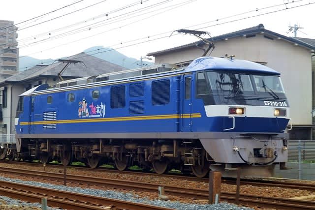EF210-318