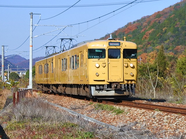 115系