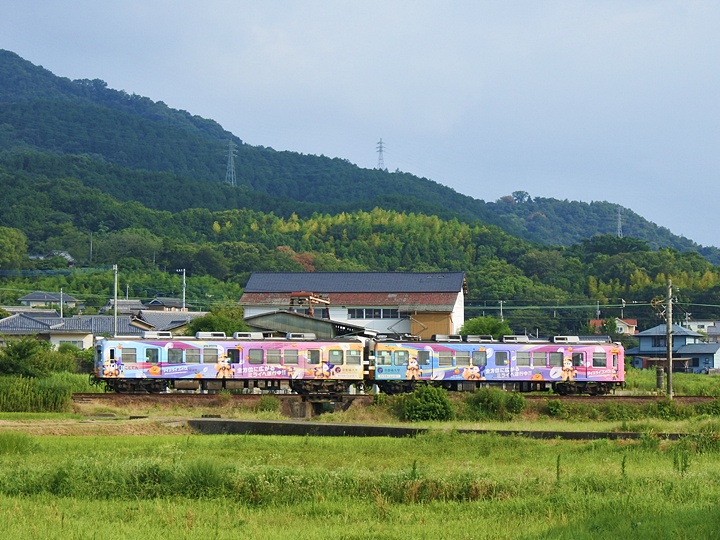 琴電