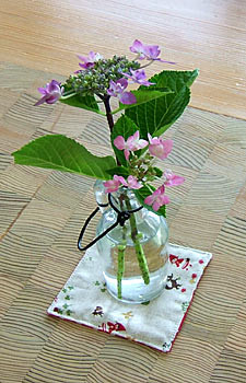 f:id:acchaA:20120610161030j:image f:id:acchaA:20120610161030j:image