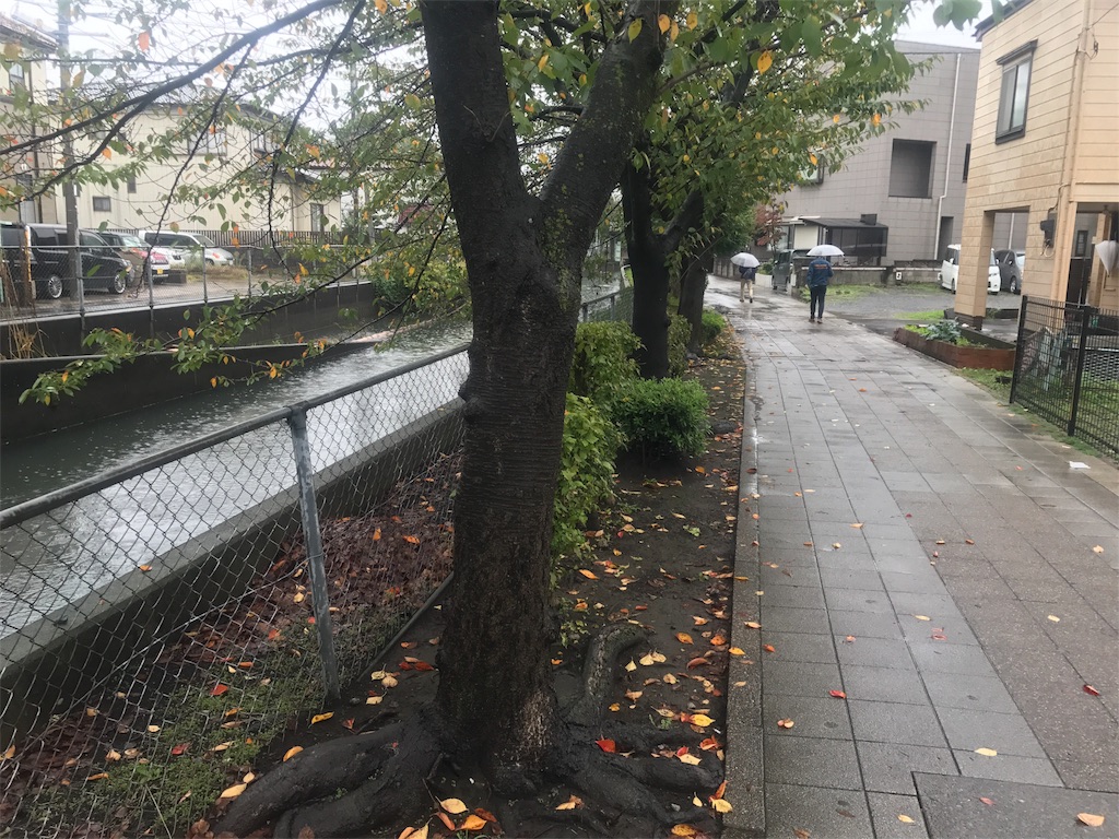 f:id:acchan1969:20171015151521j:image