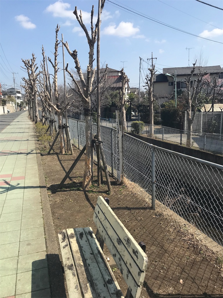 f:id:acchan1969:20180304161436j:image