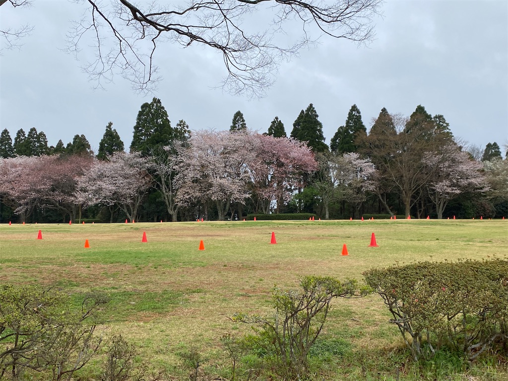 f:id:acchan1969:20210321142432j:plain