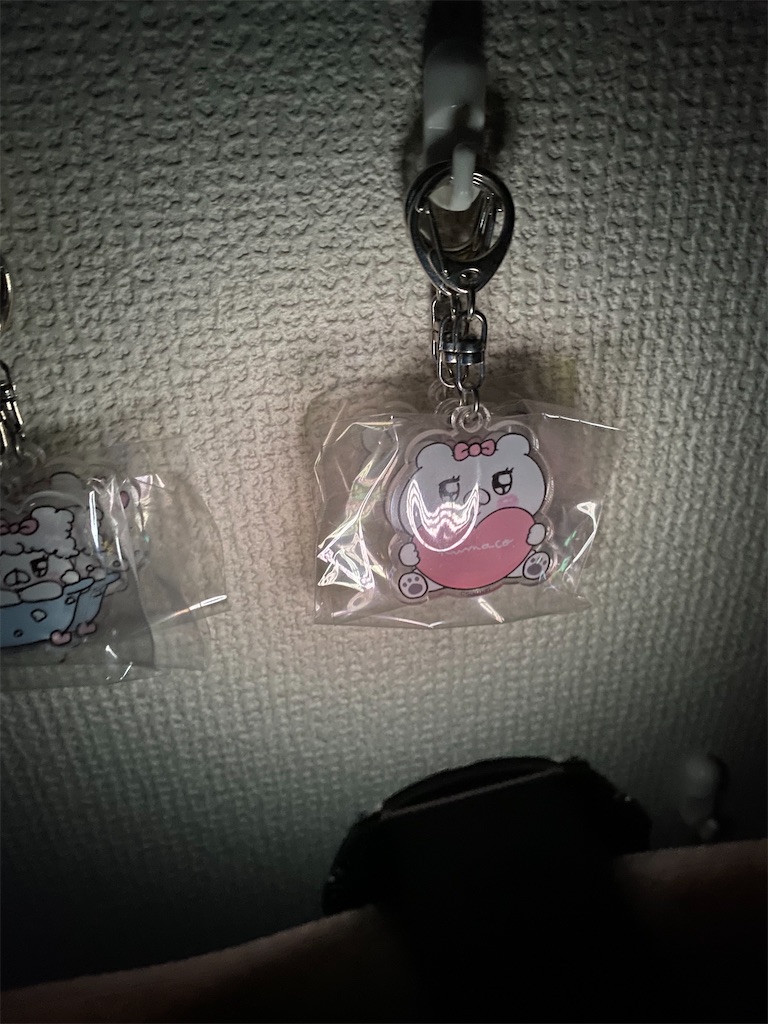 f:id:acchan1969:20220215223403j:plain