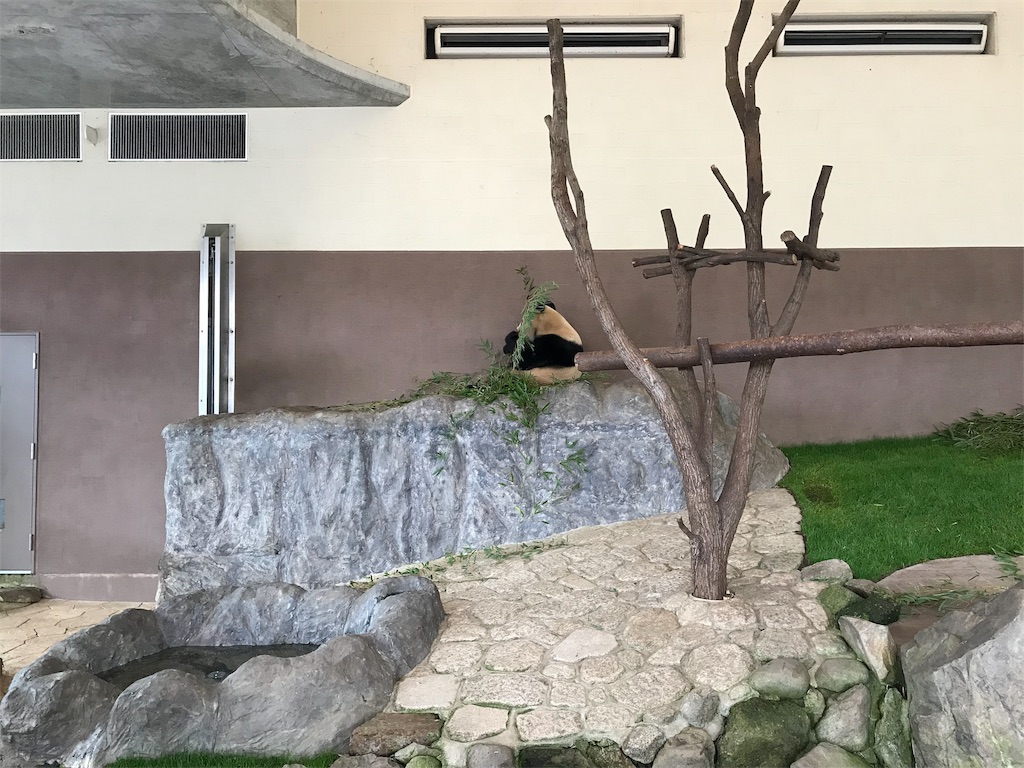 f:id:acchanrelease:20181209224857j:image f:id:acchanrelease:20181209224857j:image