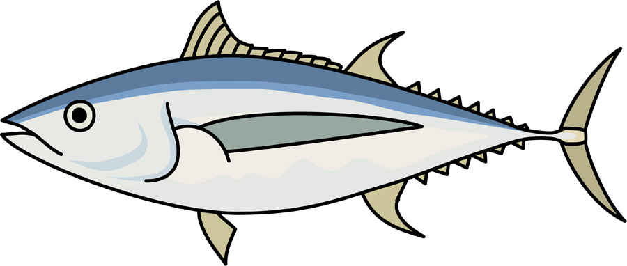 魚の下処理 臭み取り の簡単な方法７選 あっちゃんリリース