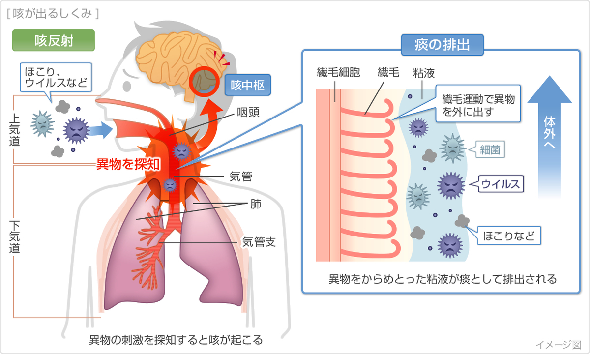 赤ちゃんの痰の吸い方は？