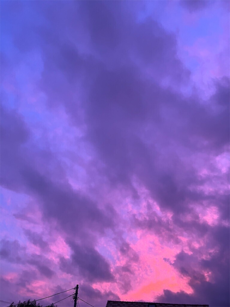 f:id:acchi0202:20250903183354j:image f:id:acchi0202:20250903183354j:image