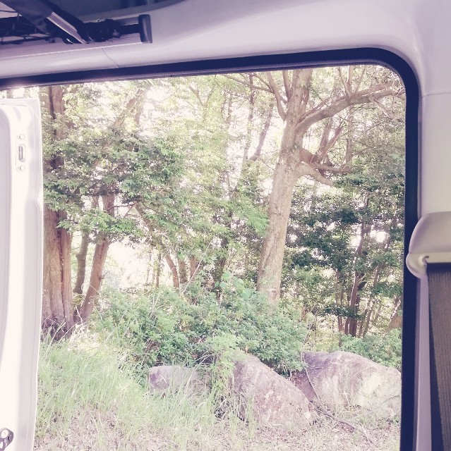 f:id:acchikocchiitiza:20190529173002j:image