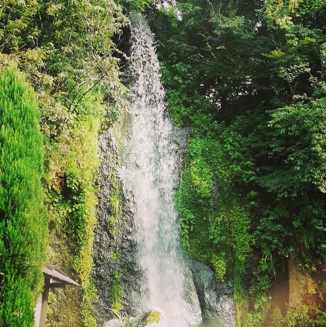 f:id:acchikocchiitiza:20190902165449j:image