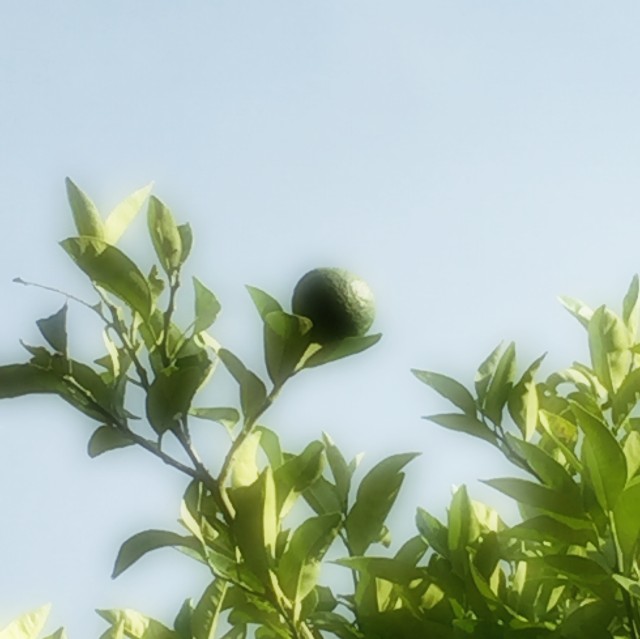 f:id:acchikocchiitiza:20200830173602j:image