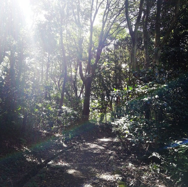 f:id:acchikocchiitiza:20200927141528j:image