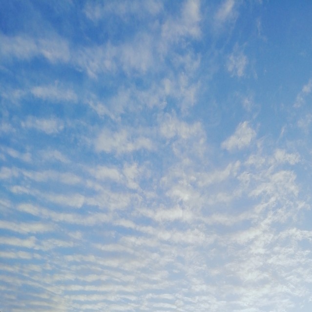 f:id:acchikocchiitiza:20201019172712j:image