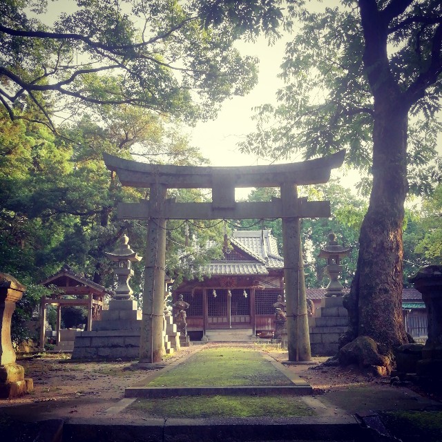 f:id:acchikocchiitiza:20201024220357j:image