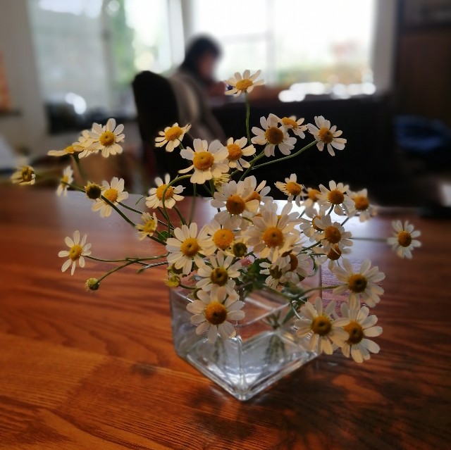 f:id:acchikocchiitiza:20201220203037j:image