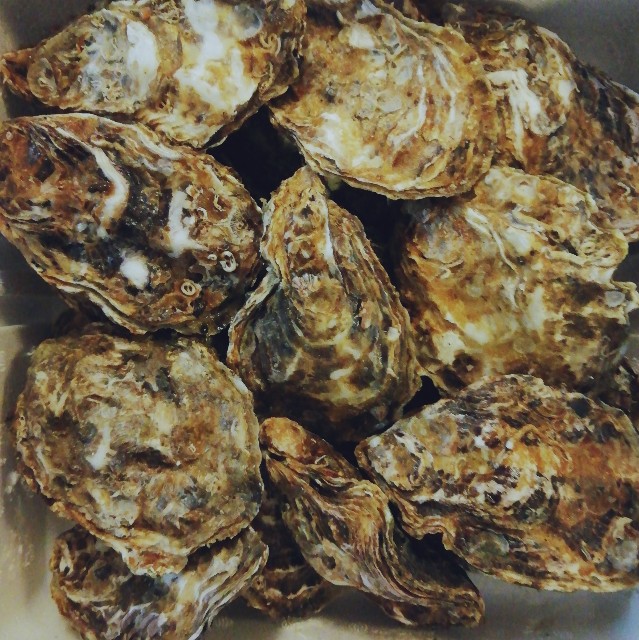 f:id:acchikocchiitiza:20201226213655j:image
