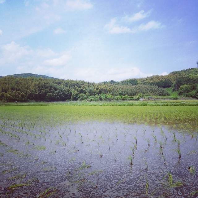 f:id:acchikocchiitiza:20210514150211j:image