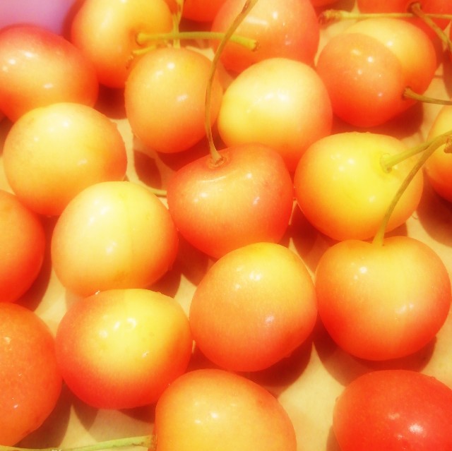 f:id:acchikocchiitiza:20210714200445j:image f:id:acchikocchiitiza:20210714200445j:image