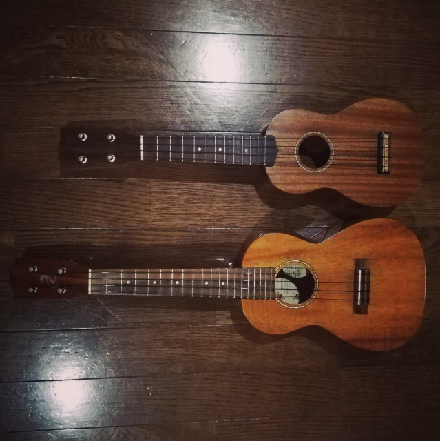 f:id:acchikocchiitiza:20210922183721j:image f:id:acchikocchiitiza:20210922183721j:image