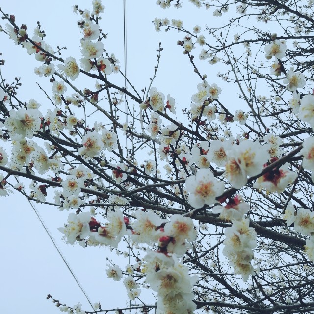 f:id:acchikocchiitiza:20220213151039j:image