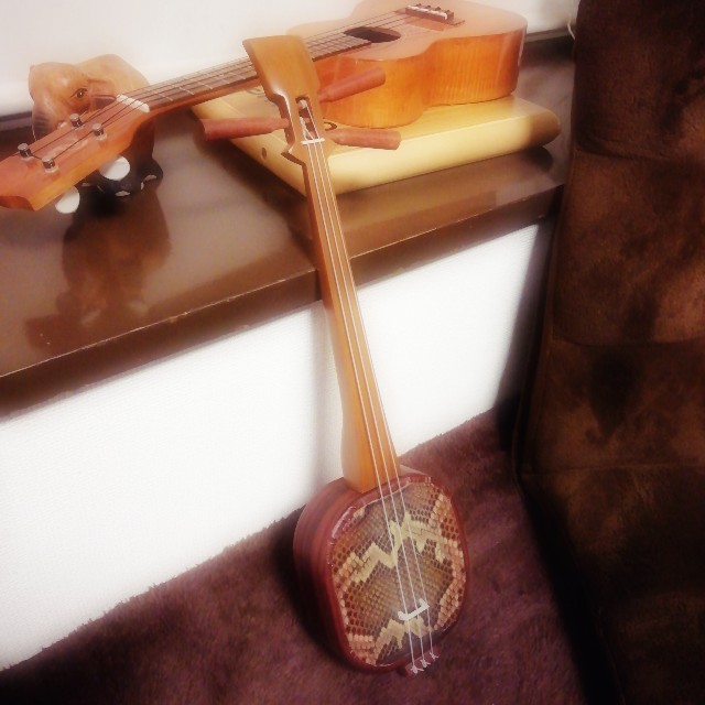 f:id:acchikocchiitiza:20220301222718j:image