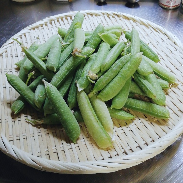 f:id:acchikocchiitiza:20220509194223j:image f:id:acchikocchiitiza:20220509194223j:image