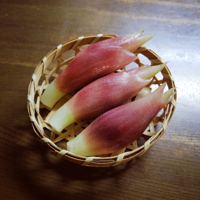 f:id:acchikocchiitiza:20220530143456j:image
