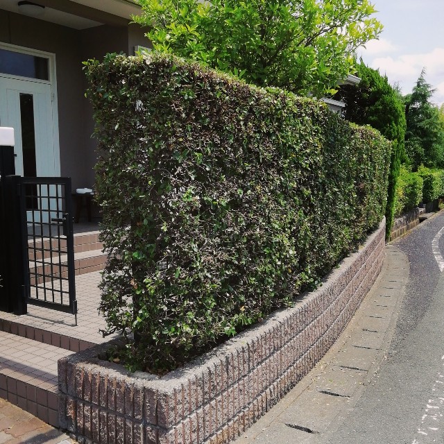 f:id:acchikocchiitiza:20220607124155j:image