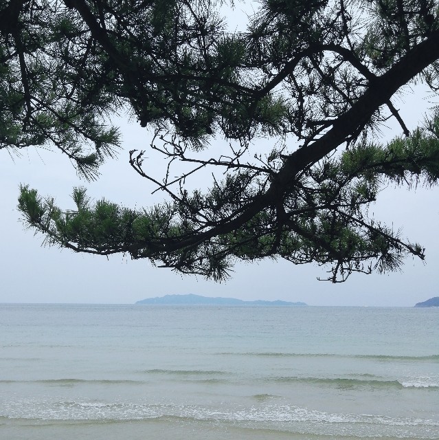 f:id:acchikocchiitiza:20220724140936j:image f:id:acchikocchiitiza:20220724140936j:image