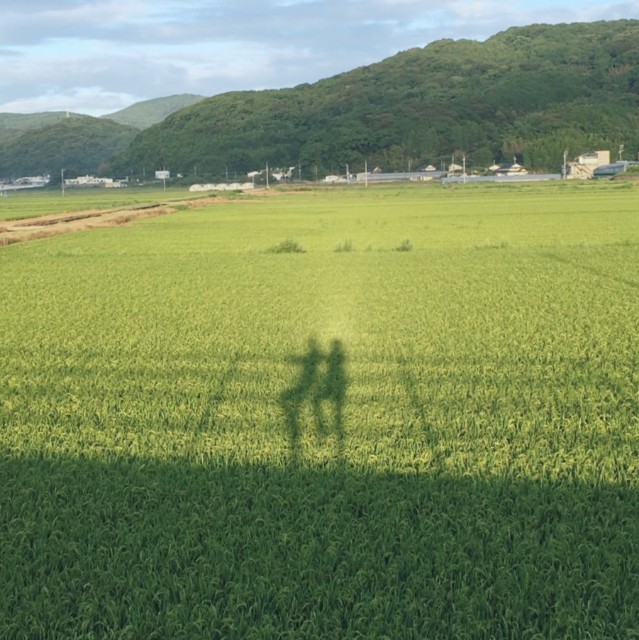 f:id:acchikocchiitiza:20220728103834j:image f:id:acchikocchiitiza:20220728103834j:image