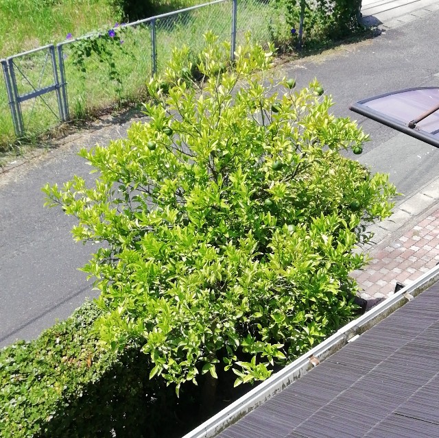 f:id:acchikocchiitiza:20220827121631j:image f:id:acchikocchiitiza:20220827121631j:image