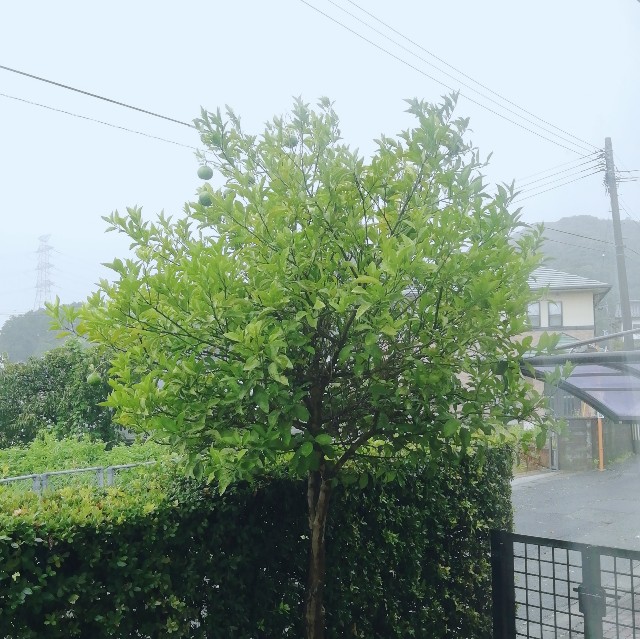f:id:acchikocchiitiza:20220919124352j:image f:id:acchikocchiitiza:20220919124352j:image