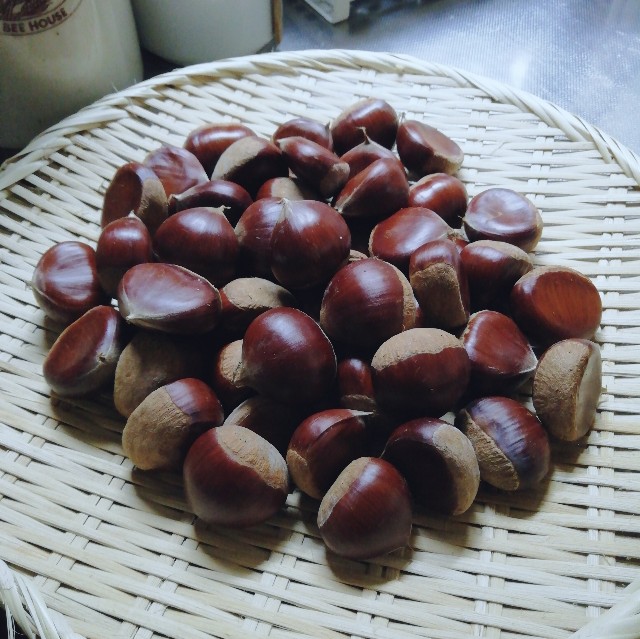 f:id:acchikocchiitiza:20220920143258j:image f:id:acchikocchiitiza:20220920143258j:image