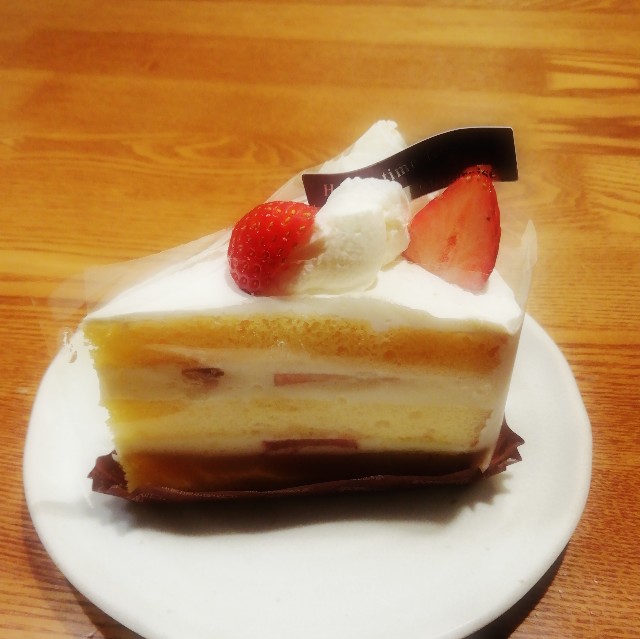 f:id:acchikocchiitiza:20230108201837j:image