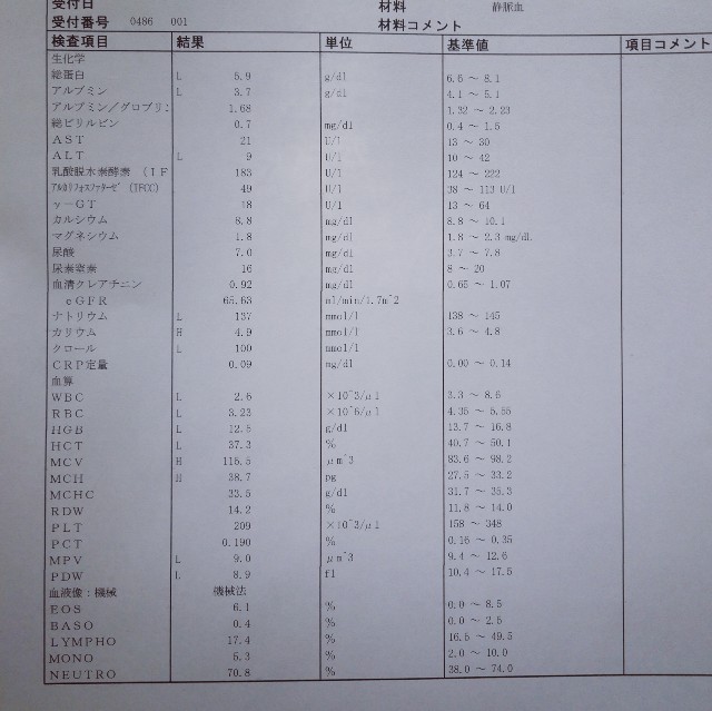 f:id:acchikocchiitiza:20230519121755j:image f:id:acchikocchiitiza:20230519121755j:image