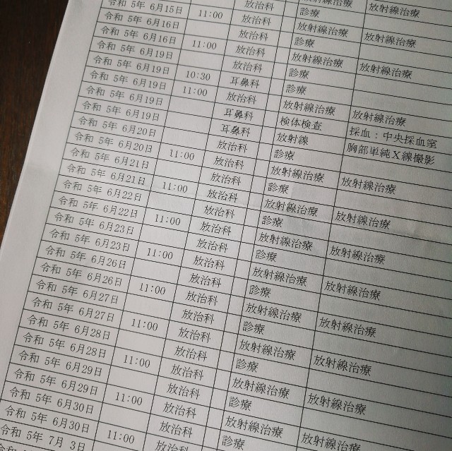 f:id:acchikocchiitiza:20230612135913j:image f:id:acchikocchiitiza:20230612135913j:image