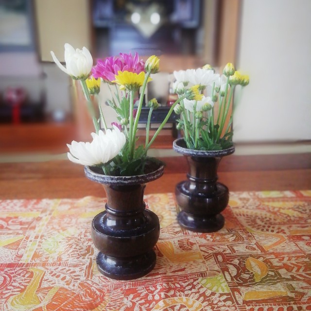 f:id:acchikocchiitiza:20230625162504j:image