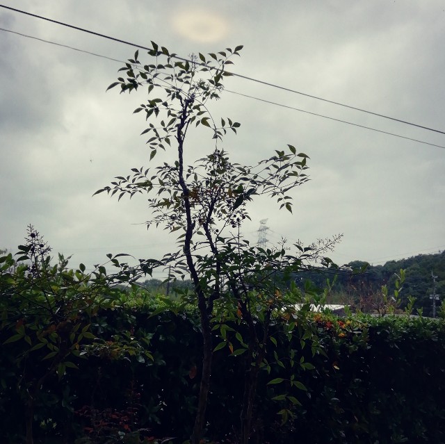 f:id:acchikocchiitiza:20231110154338j:image