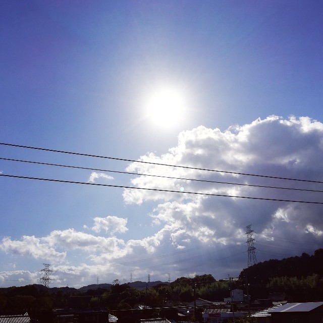 f:id:acchikocchiitiza:20231118161116j:image f:id:acchikocchiitiza:20231118161116j:image