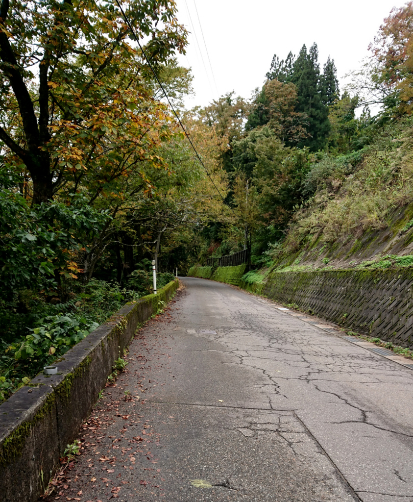 山の坂道