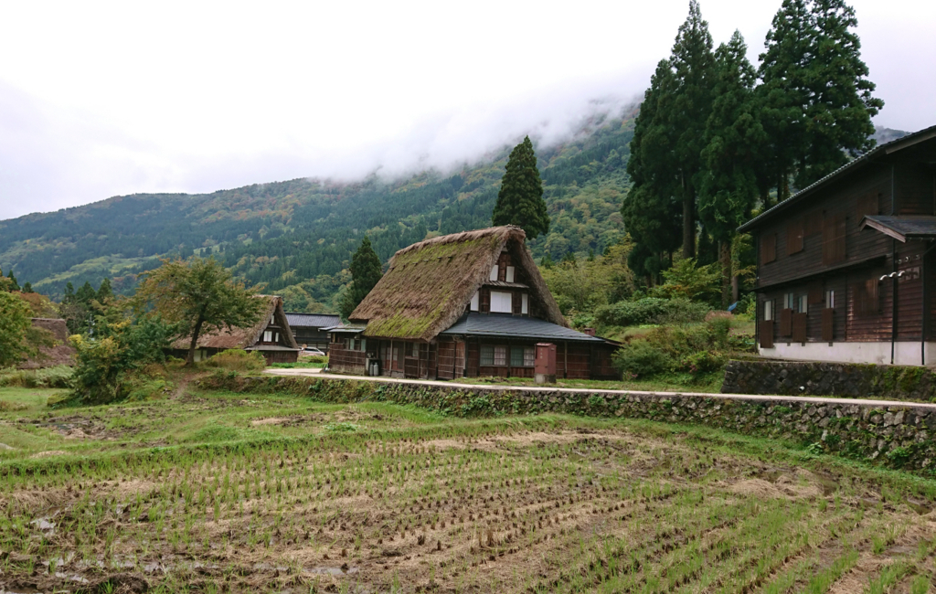 合掌造りの田園