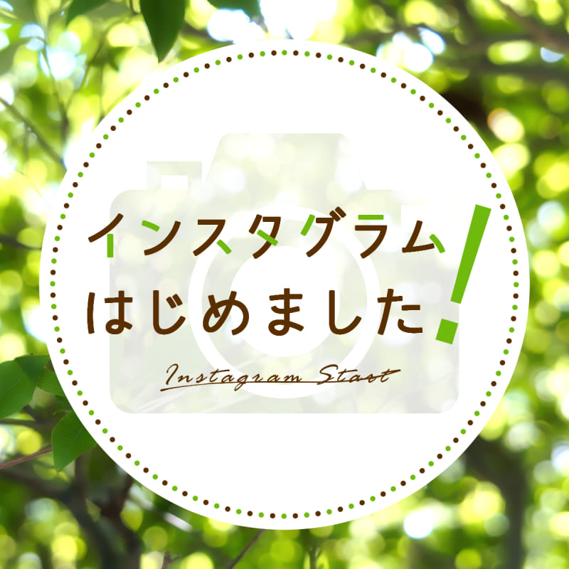 アイキャッチ画像 インスタグラムはじめました