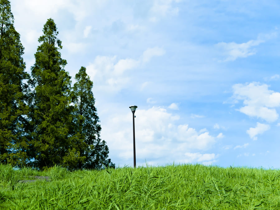 写真撮影 青空の草原に佇む一本の電灯